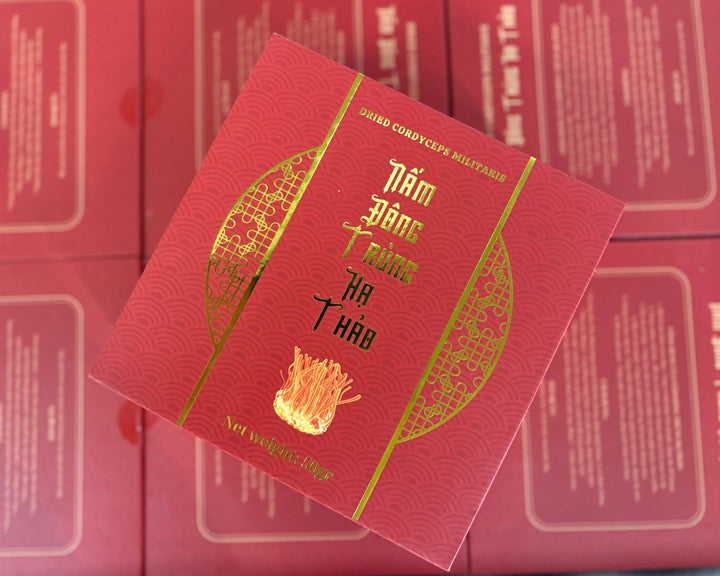 CORDYCEPS MILITARIS (NẤM ĐÔNG TRÙNG HẠ THẢO)