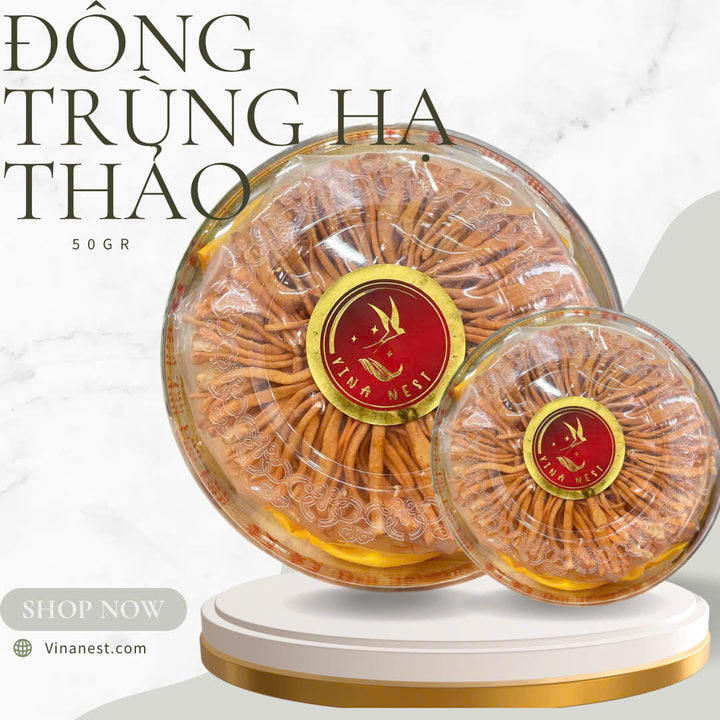 CORDYCEPS MILITARIS (NẤM ĐÔNG TRÙNG HẠ THẢO)